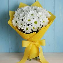 Букет цветов из:  Хризантемы в Новокузнецке