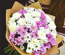 Букет цветов из:  Хризантемы #REPLACE_PRED# Новокузнецке