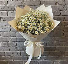 Букет цветов из:  Ромашки #REPLACE_PRED# Новокузнецке